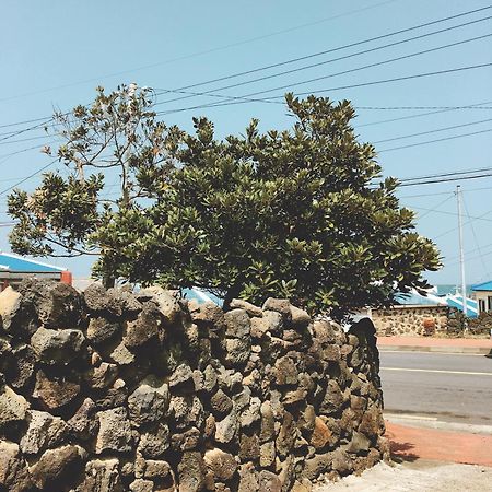Shanti Shanti Guest House Jeju Exterior photo