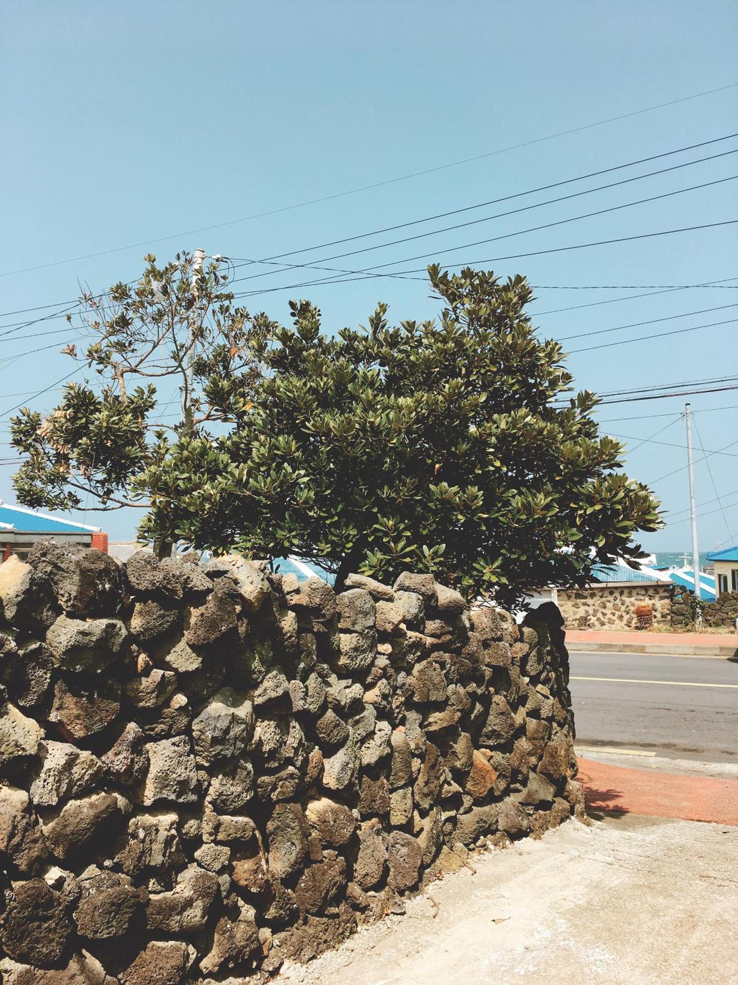 Shanti Shanti Guest House Jeju Exterior photo